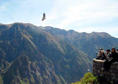 Tour Cañón del Colca